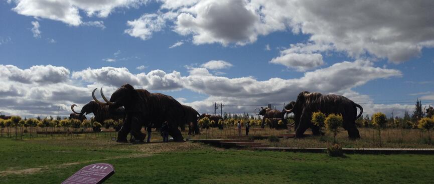 An outdoor park is filled with life-sized mammoth sculptures.