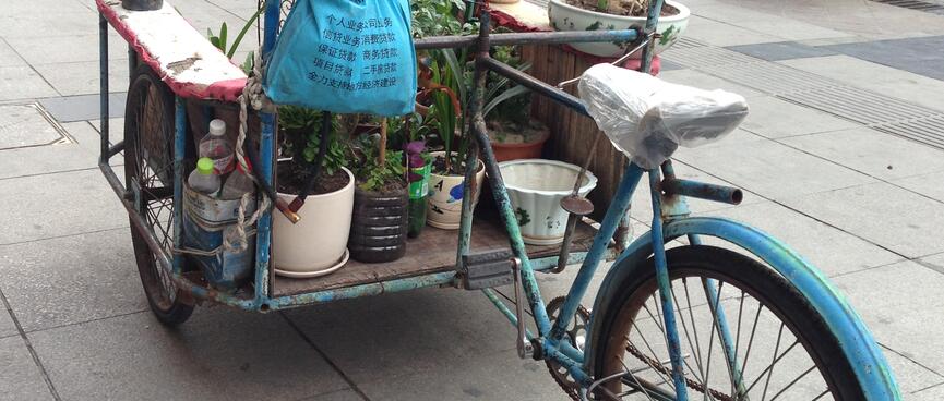 Small pot plants adorn a back-to-front tricycle.