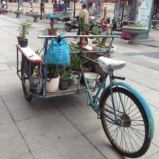 Small pot plants adorn a back-to-front tricycle.