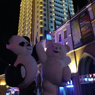 A panda and a polar slap paws on a street corner.