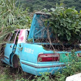 A wrecked blue taxi is overgrown by weeds
