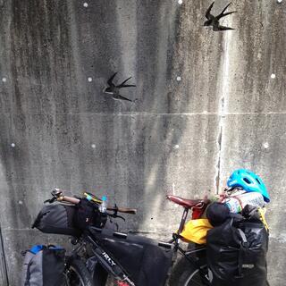My bike leans against a wall engraved with birds.