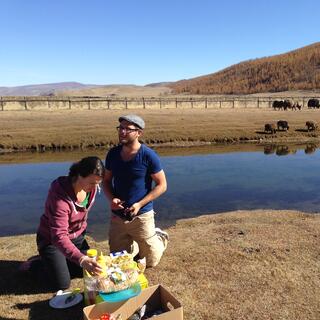 A man and woman prepare a picnic next to a river and grazing cattle.