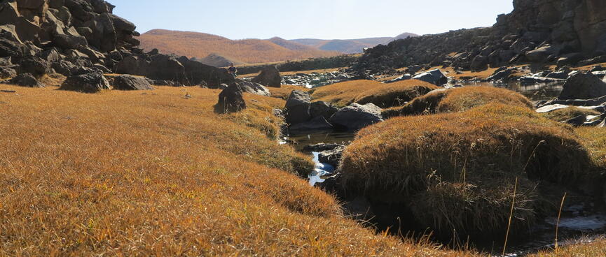 Brown grass, rocks and water on the river bed.