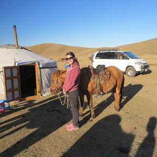 A female tourist stands next to a brown horse.