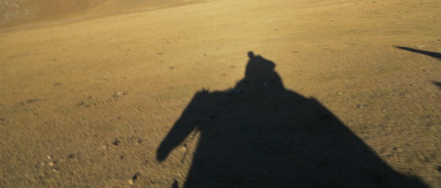 Silhouette of a horse on sand.