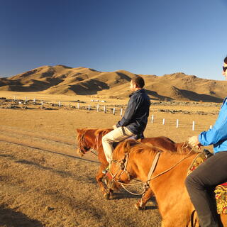 Tourists on horses in a golden landscape.