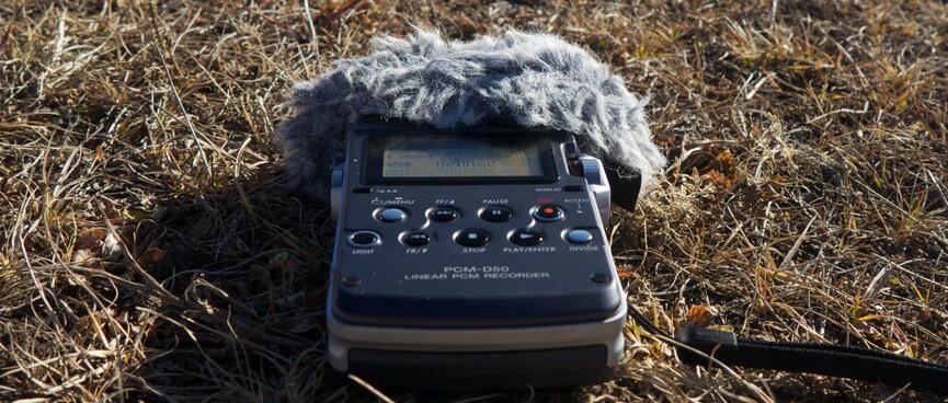 My field recorder lies in a dry grassy field.