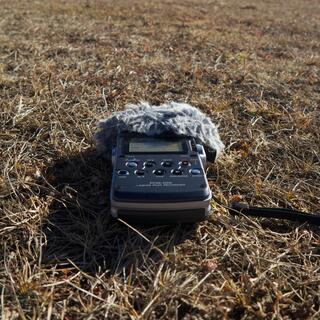 My field recorder lies in a dry grassy field.
