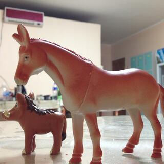 Horse and warthog figurines on the kitchen counter.