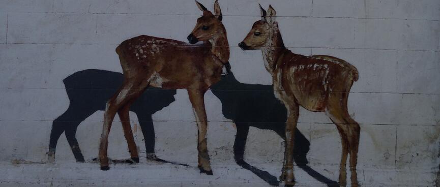 A mural showing a pair of deers and their shadows.