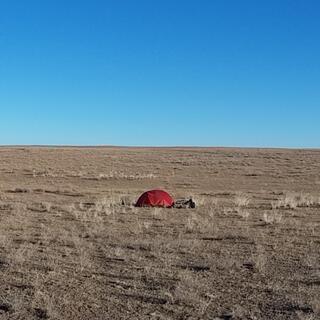 My orange tent shrinks in the dry grassy expanse.