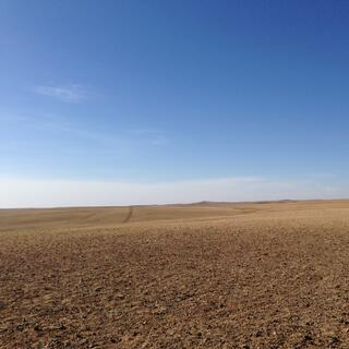 Tyre tracks through the otherwise virgin steppe.