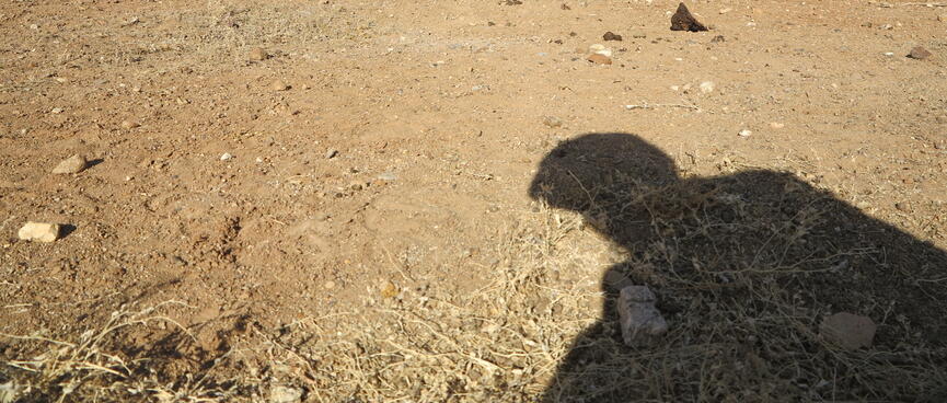 My shadow crouches in the desert.