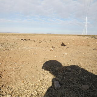 My shadow crouches in the desert.