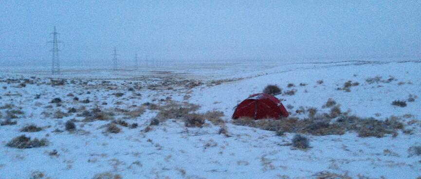 My orange tent in a vast snowy landscape peppered with small shrubs.