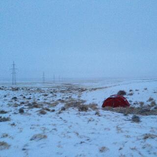 My orange tent in a vast snowy landscape peppered with small shrubs.