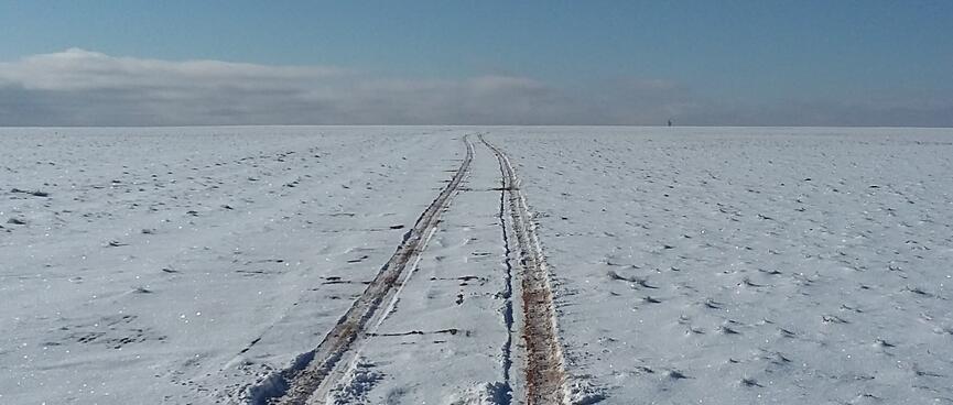 Tyre tracks cut a path through snow.
