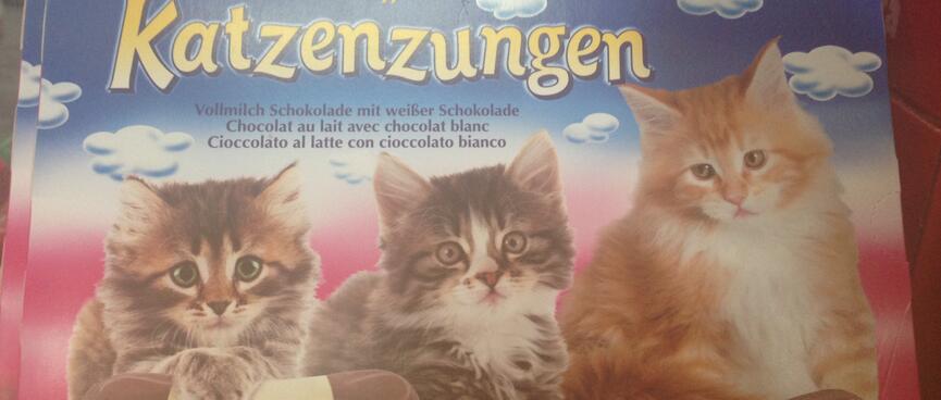 Three kittens on a box of Katzenzungen milk chocolates.
