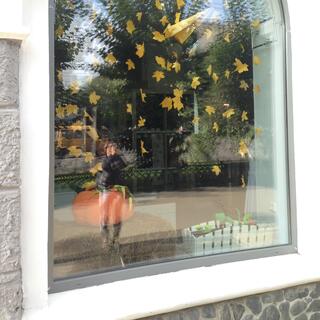A window display of yellow leaves catches reflections of trees and Wanna with her camera, in Chita.