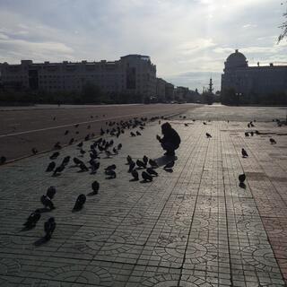 Wanna crouches amid dozens of pigeons, in Chita.