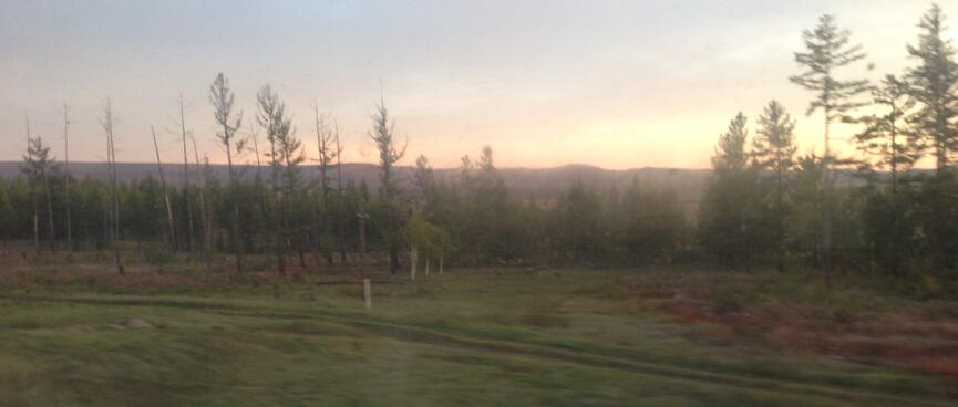 A blur of empty fields and forest, out the train window.