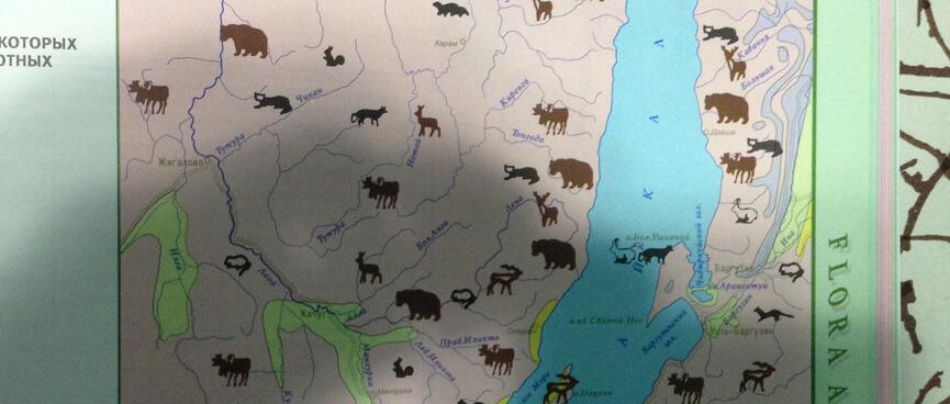 Brown animal icons pepper a map of Lake Irkutsk.