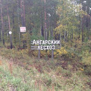 A wooden sign for the Angarsky Les forestry business.