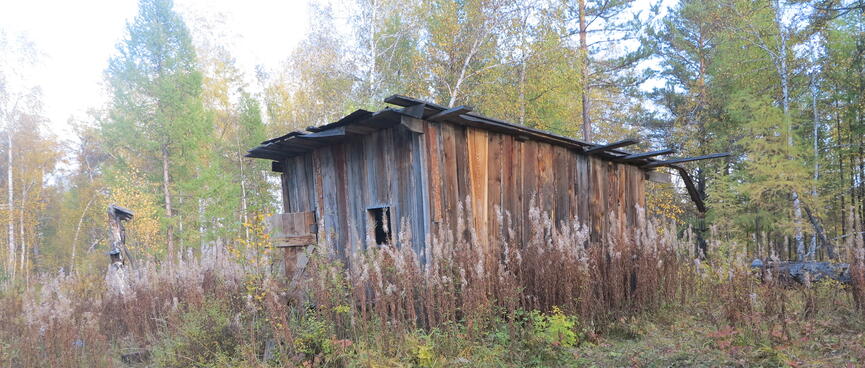 A wooden shed is constructed from planks of different lengths.