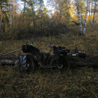 My bike leans against a log in a grassy clearing.