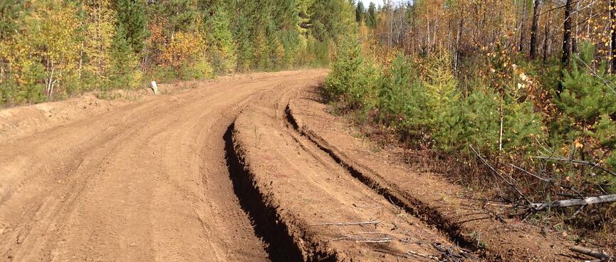 Tyre tracks form deep gouges in the dirt road.