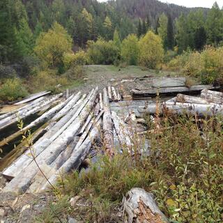 Long, pale logs are laid on top of a flowing river.