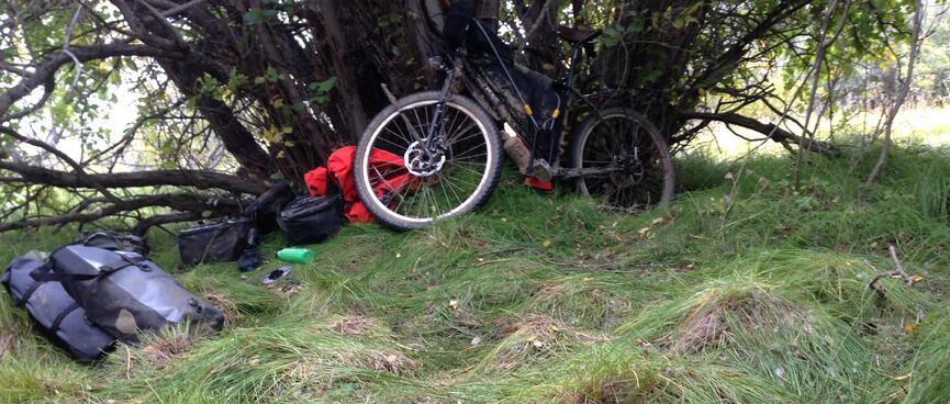 My bike leans against a tree, amid a lumpy grass lawn.