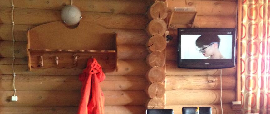 A flat-screen TV on the wall of a log house.