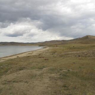 The grassy foreshore and a narrow strip of sand.