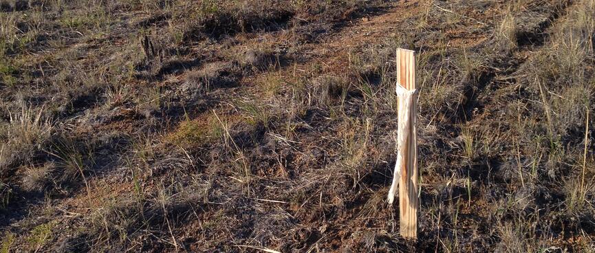A wooden post marks the edge of the track.