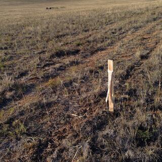 A wooden post marks the edge of the track.