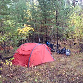 My wet tent in the thick forest.