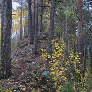The trail runs up a forested ridge.