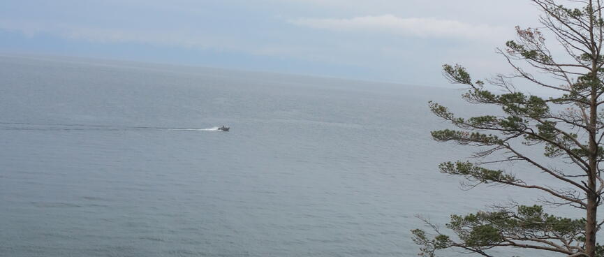 A small boat, maybe 100m offshore.
