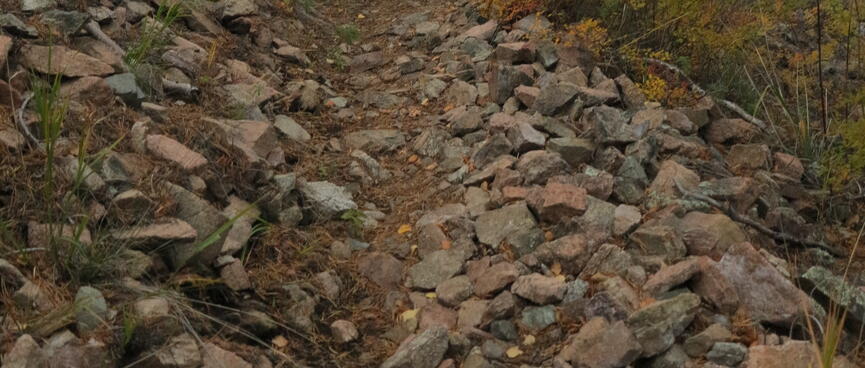 Fist sized rocks cover an exposed portion of the trail.
