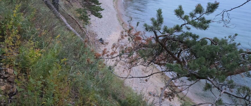 Trees run all the way down to the beach.