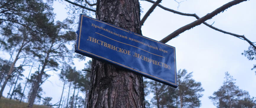 An official blue and white sign is attached to a tree trunk.