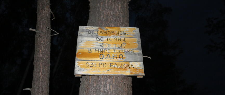 A homemade wooden sign is attached halfway up a tree trunk.