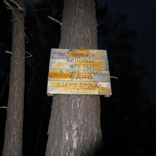 A homemade wooden sign is attached halfway up a tree trunk.