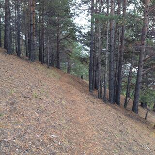 The path cuts across a steep hillside.