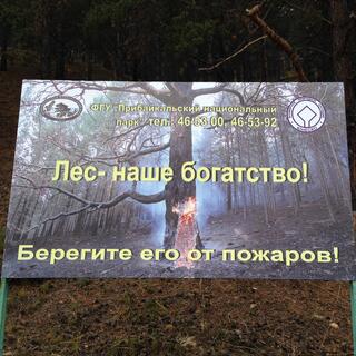 A printed signs shows a smouldering tree in a fire ravaged forest.