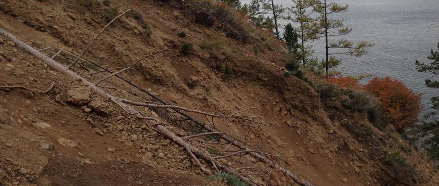 Fallen trees and exposed clay mark a steep wash out.